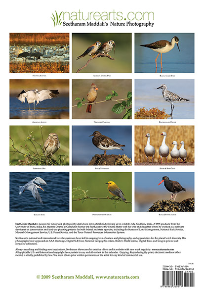 birds-calendar-back