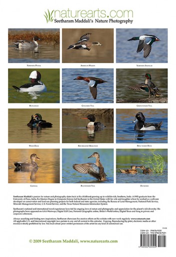 waterfowl-calendar-2011-back