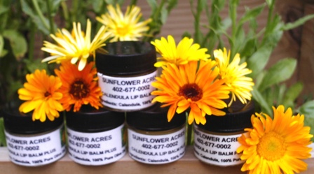 CALENDULA LIP BALM PLUS 